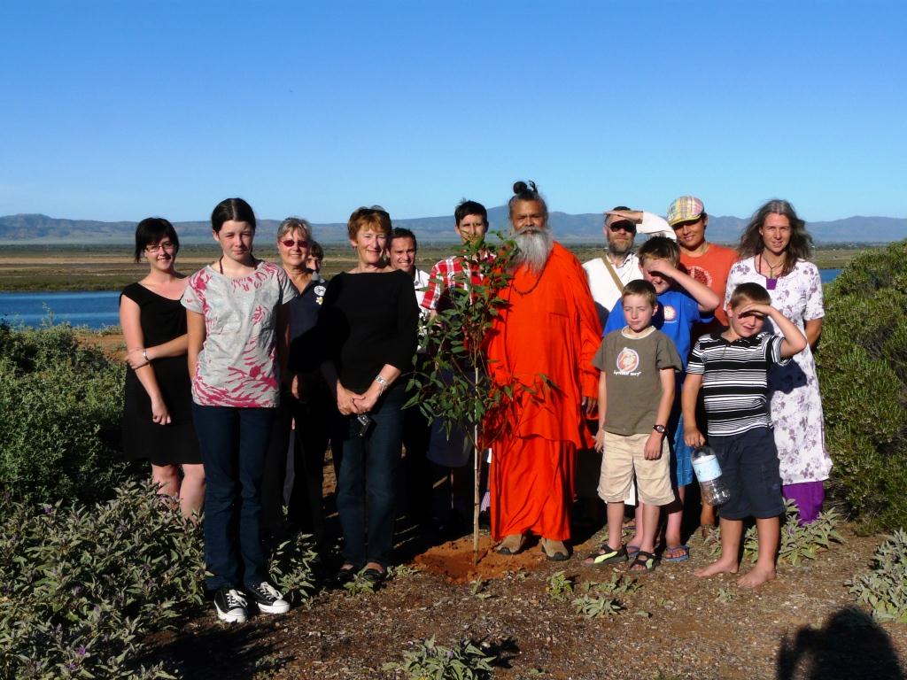 Peace_Tree_Port_Augusta_3