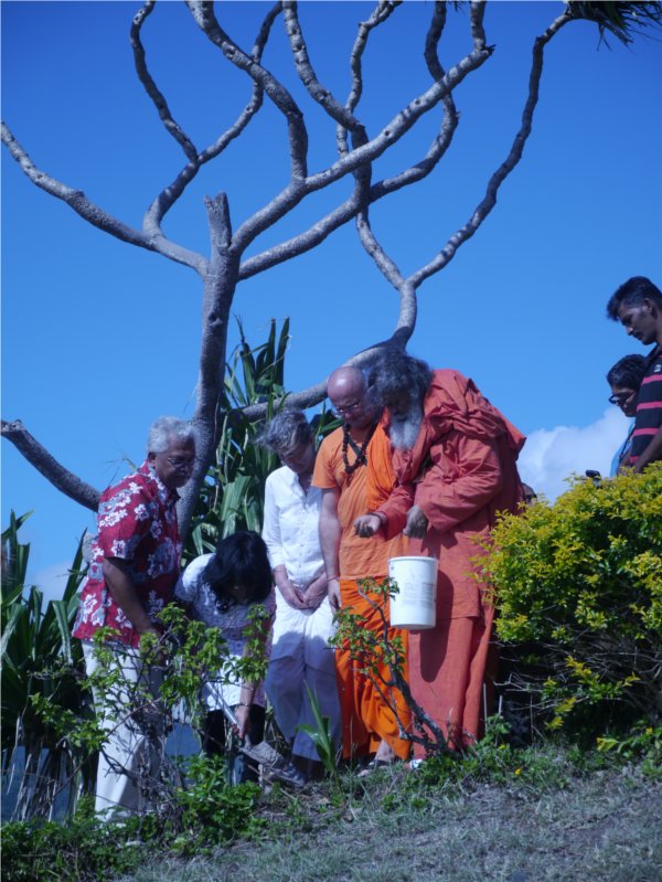 Peace Tree Planting in Fiji