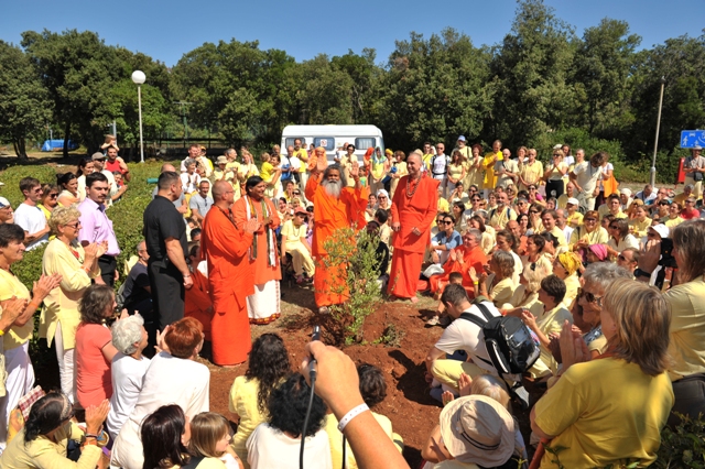 22 planting the olive tree