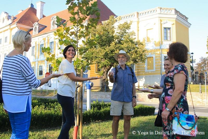 international day of peace 2018 vukovar croatia 2