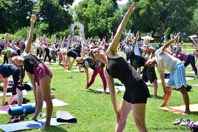 idy 2019 vienna 8