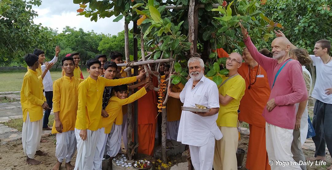 jadan india peace tree