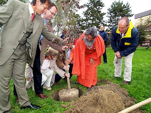 Planting of a Peace Tree