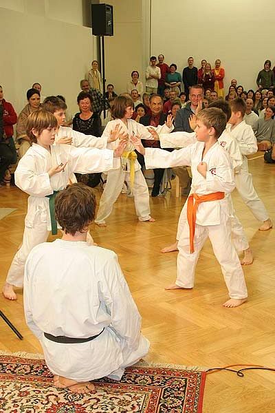 Inauguration of the new yoga centre in Ljubljana - young karate practitioners