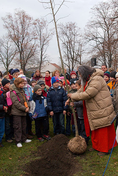 Planting a Peace Tree in Prague