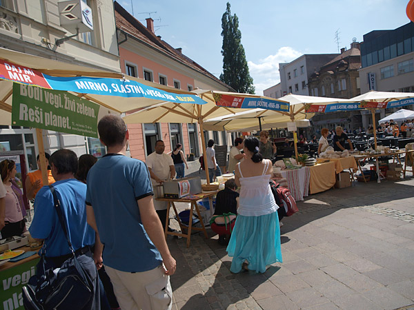 'Peace Zone' in Mariboru